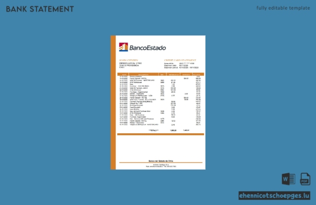 Beispiel eines Kontoauszugs der chilenischen Staatsbank (Vorschau)